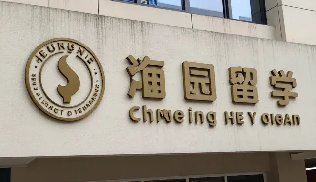 财税咨询选型中的关键考量因素分析